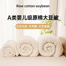 超柔软A类大豆纤维被子棉被芯学生春秋被冬被加厚四季通用