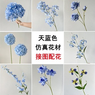���{ɫ��c�����滨���l�\�{ɫ������Y���b���̨·����׻��ٻ�