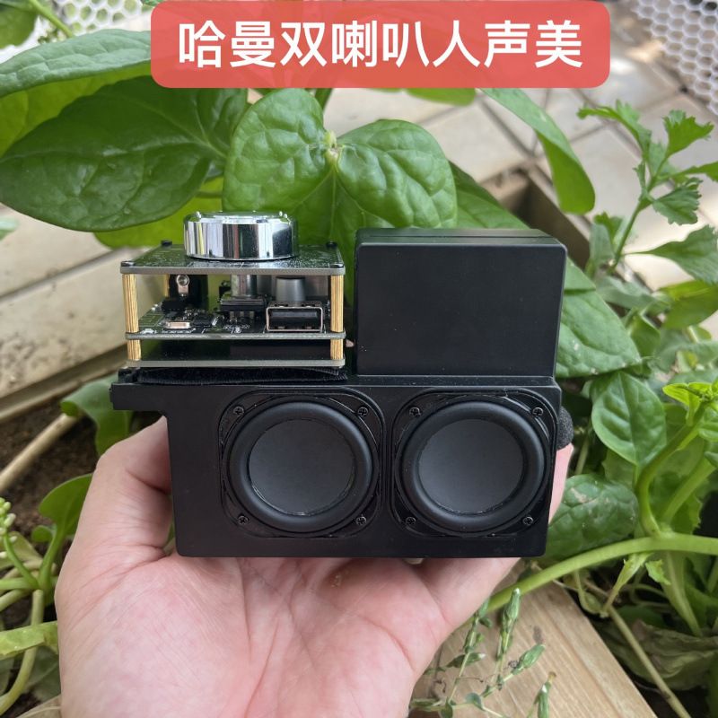 Vocal Sweet and Clear Dual Speaker Passive Speaker Stereo Hifi Modified DIY Desktop Bluetooth Speaker