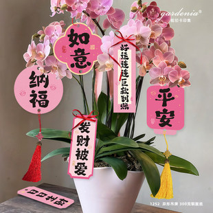 ��ɫ�lؔף����������{���������ֵ�����������m��ޥ�m�b�