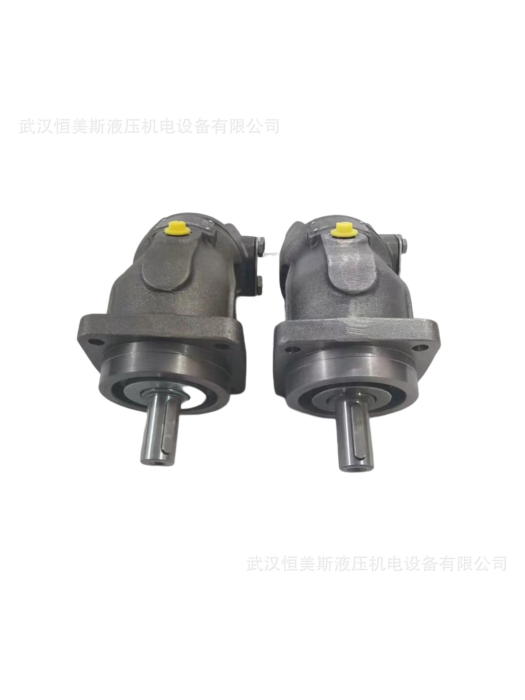 德国REXROTH力士乐柱塞泵A2FM32/63W-VZB020