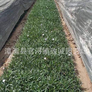 ���J��С��r����J����縣���ۻ����J��Ʒ�N�Rȫ�r�����