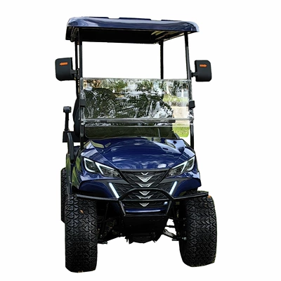 Car Golf Cart, Elektrik qolf avtomobilləri