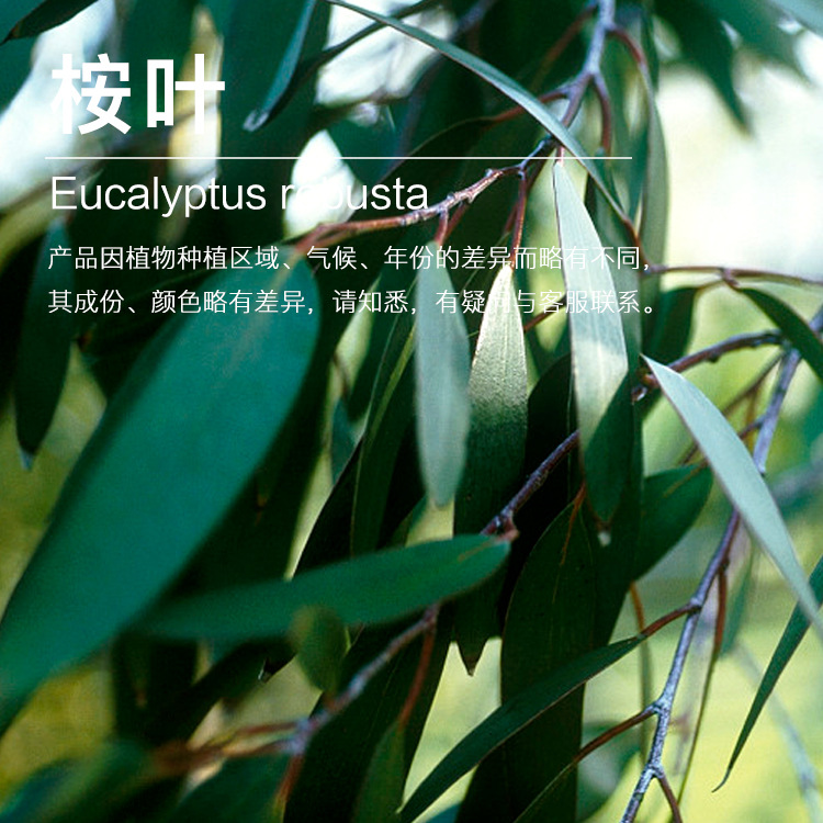 ���ҹ�Ӧ��Ҷ�� ������ȡ��Ҷ���� ��Ҷ�ͳ���������ӭ��ѯ�ɹ�