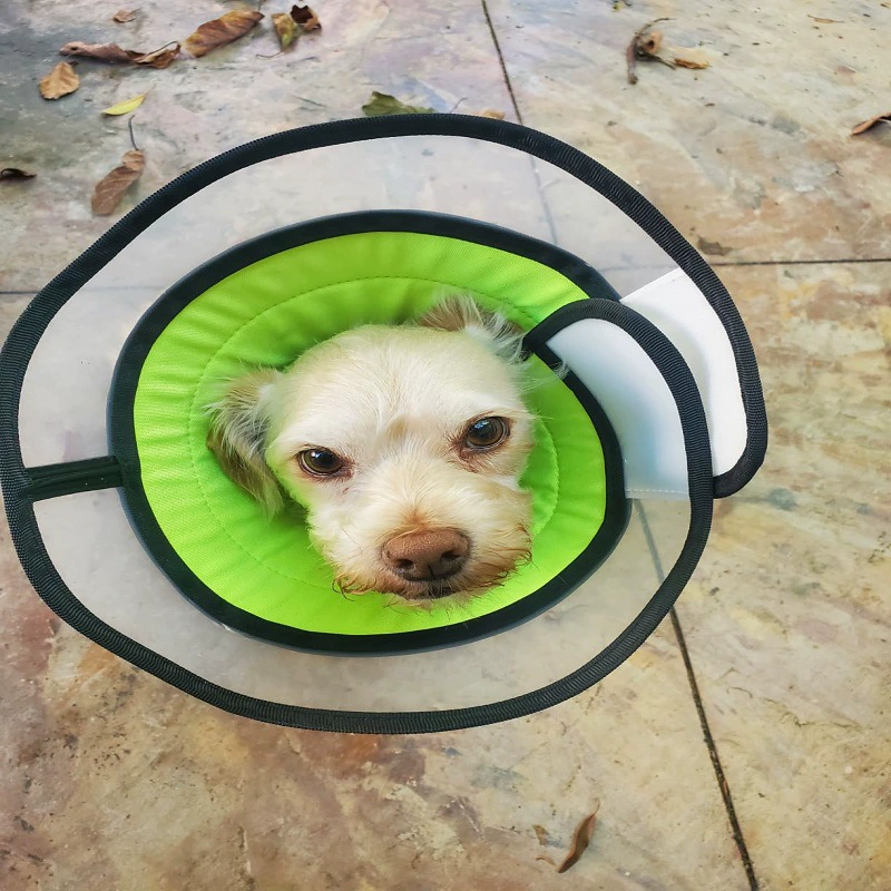 Трансграничный Элизабет Круг для собак, Кошка Стыд Круг для домашних животных Большая собака Ошейник против лизания против укусов Стерилизационный ошейник