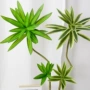 仿真叶子热带假植物百合竹