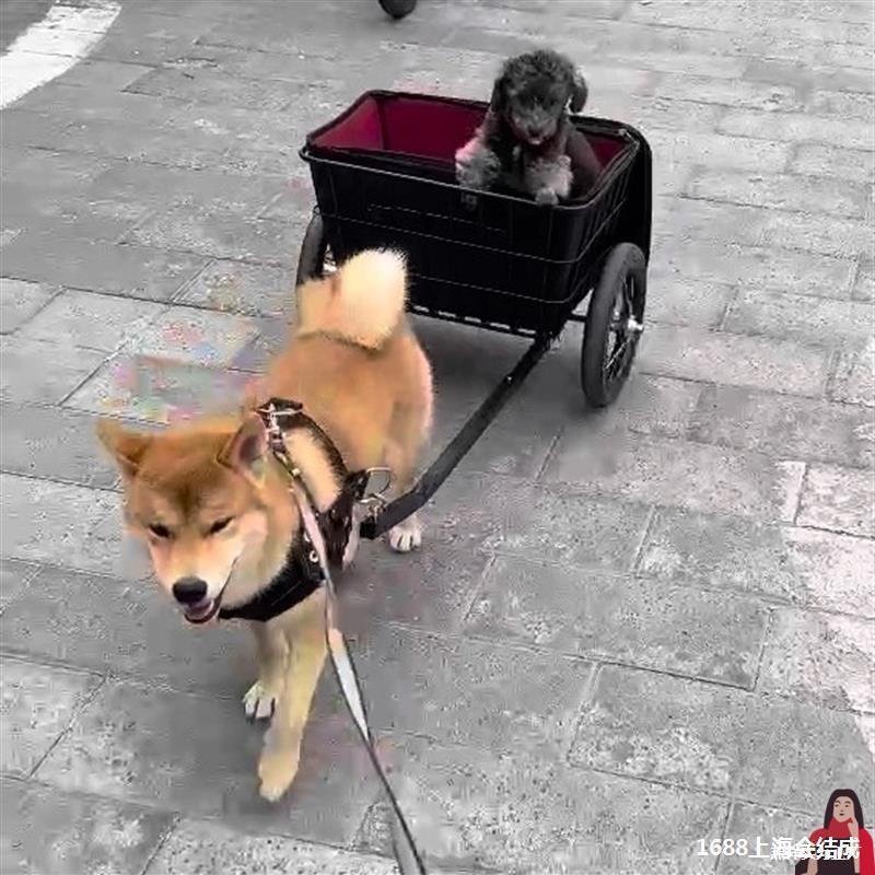Lightweight Work Dog Cart for Shiba Inu, German Shepherd, Corgi, Popular Shopping Cart Default Item