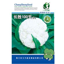 �L��100���ɻ��˷N��������߮a���������ͺ��M��2000���߲˷N��