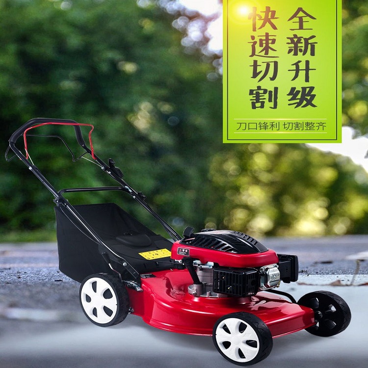 山东工厂直供自走割草机手推式汽油剪草机 四冲程大草袋割草机