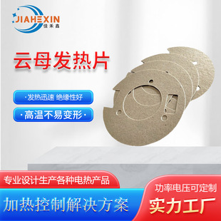 High temperature resistant phlogopite heating film stainless steel electric heating plate 200V temperature control non-standard custom 800 degree heating plate
