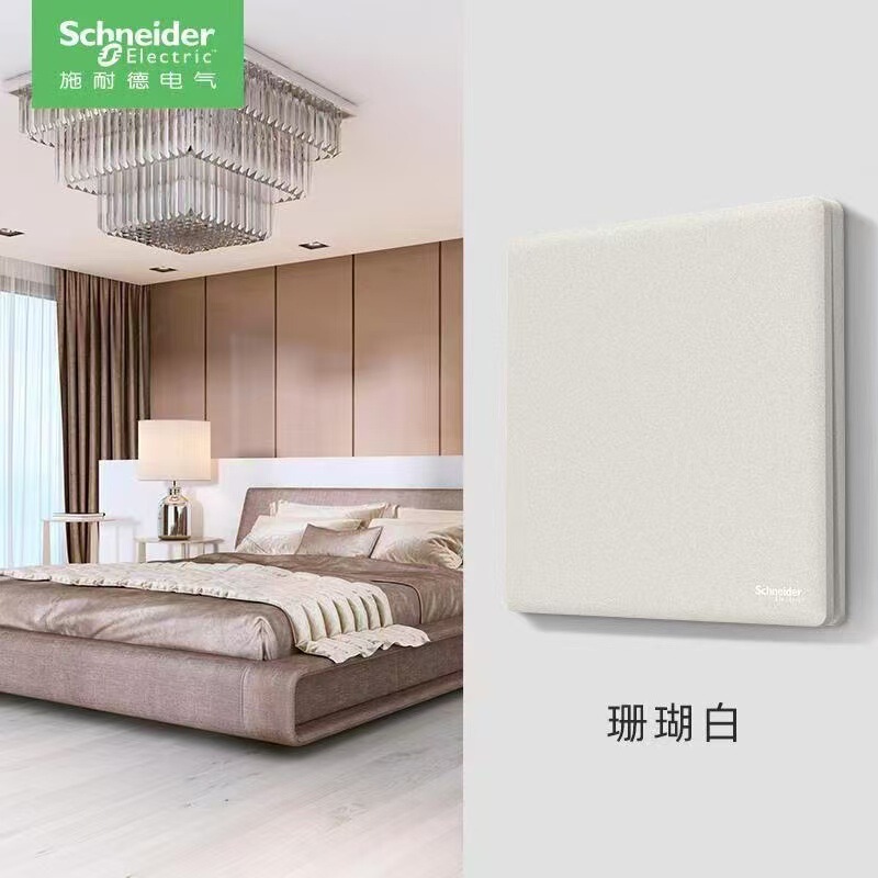 Schneider Platinum Switch Socket Panel, Concealed Installation, Coral White, Single Switch Dual Control, Safety Protection, Wall Five-Hole Socket