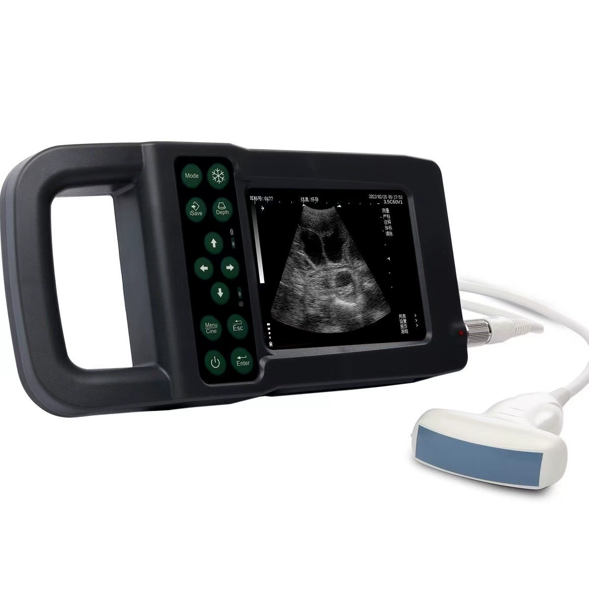 Ветеринарный B-супермашина Kaixin KX5600W задний измеритель овечьей беременности портативный водонепроницаемый свиноматка с тестом на беременность