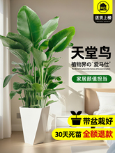 B҃ȿ͏d߼д;GֲkҴ~ֲ߶Qm·