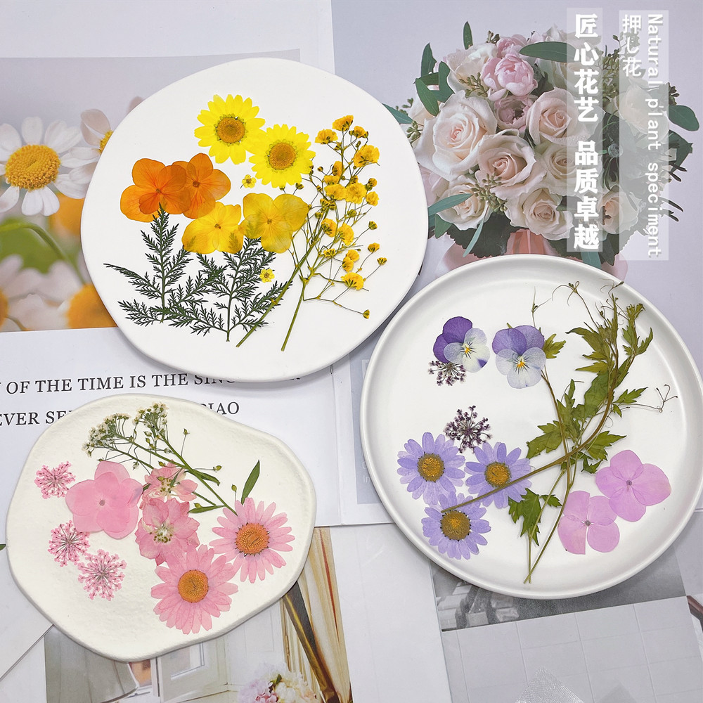 微信图片_20220601182335_副本