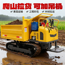 全地形履带车运输车柴油可加吊臂小型农用爬山虎山地单履带运输车