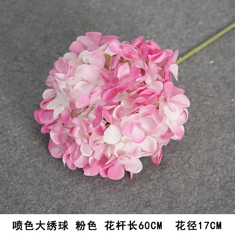 Spray-painted hydrangea, pink - new arrival recommended