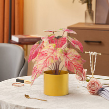 Gֲ^ɫ͏d҃Ȕ[bWLˮ	쾰Gֲ