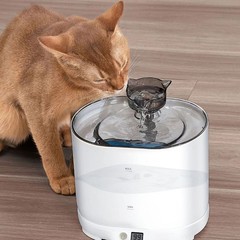 Petペット浄水器インテリジェント自動循環フィルタ