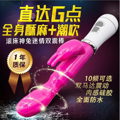 Dual-Shock G-Spot Vibrator Rabbit AV Massager, Variable Frequency Charging AV Stick for Women, Seductive Vibrator