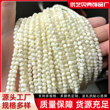 天然贝壳马蹄螺散珠珠海贝圆珠串珠项链手链diy饰品配件珠饰珠宝