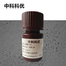 �пƿƃ� ̼�����c�{��ø �{���w������ ���wԇ�� �ٷ�ֱ�I