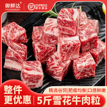 黑牛雪花牛肉粒500g调理雪花牛肉烧肉火锅商用批发