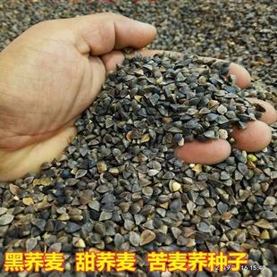 �w���N�Ӄ��|���w���N�� ���w���N�� ���w�N���ļ��Nֲѿ����