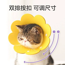 猫抓板;猫猫玩具;伊丽莎白圈