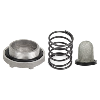 Motorcycle engine and accessories Warrior Bear 350 400 - drain-plug-spring-filter-screen