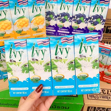 批發泰國進口IVY愛誼原味酸奶飲品兒童果味牛奶飲料180ml一箱48盒
