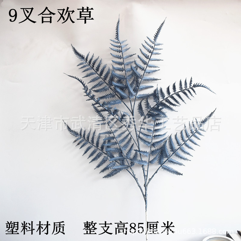 9갈래 알비지아