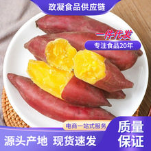 �����t�����r�R����ĿɽС����С�����ع�����С�t�����������]