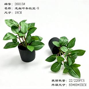 ����Gֲ������Ѫ�~�l�y�辰18CM�҃��bGֲ�Ҿ��k��С�����[��