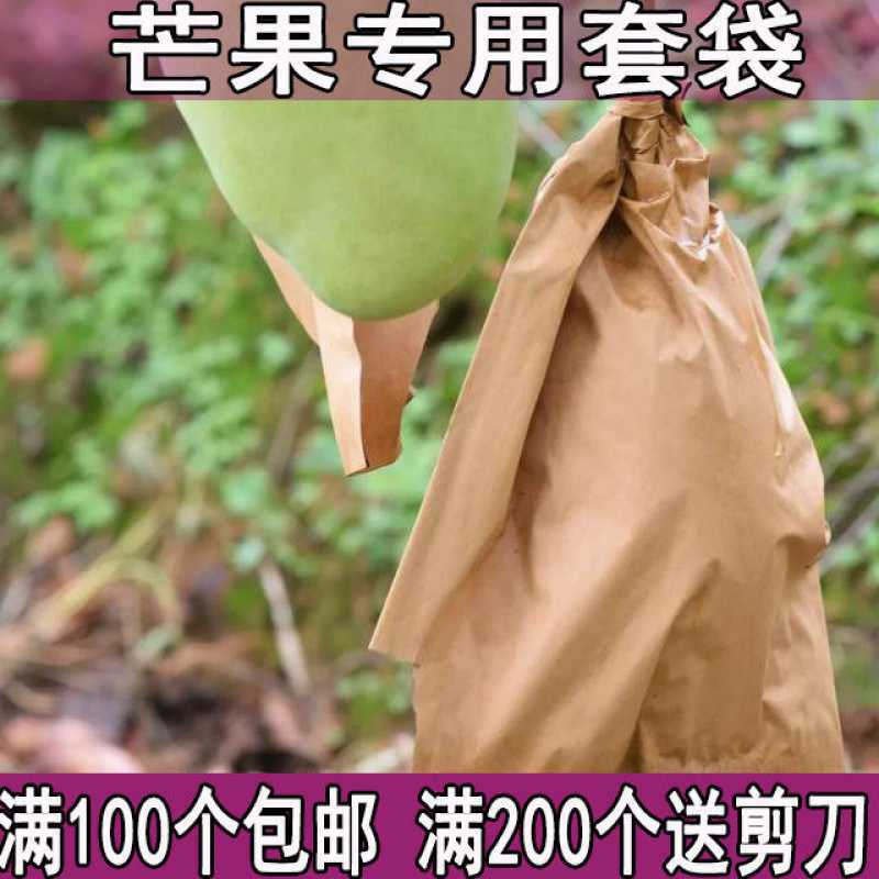 Mango Bagging Bagging Golden Mango paper bag Ivory fruit Kate Bag