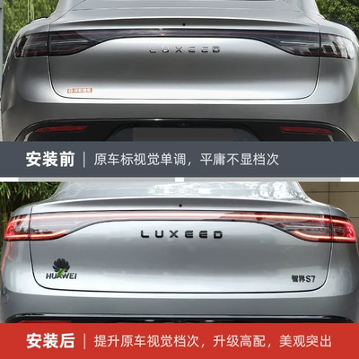 Intellectual R7/S7 car logo blackened | Car logo
