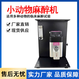 ����С��������C�����������C����С����w���������C�F؛