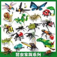 �����ָ�80040�����ľ�����ͯ���������Ƶ�̯��Ʒ����