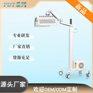 �t�⾀�������^Ƥ�B�o�xPDT��������V�x���w���ן��t��