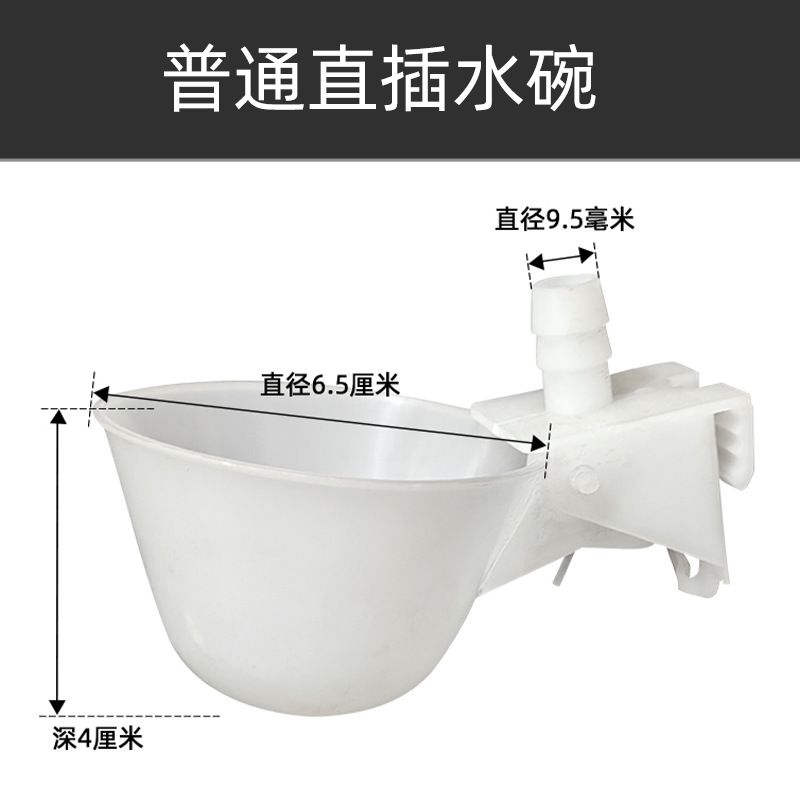 Tazón de agua de la paloma bebedor automático Loro Bird bebedor automático paloma caja de comida caja colgante bebedero