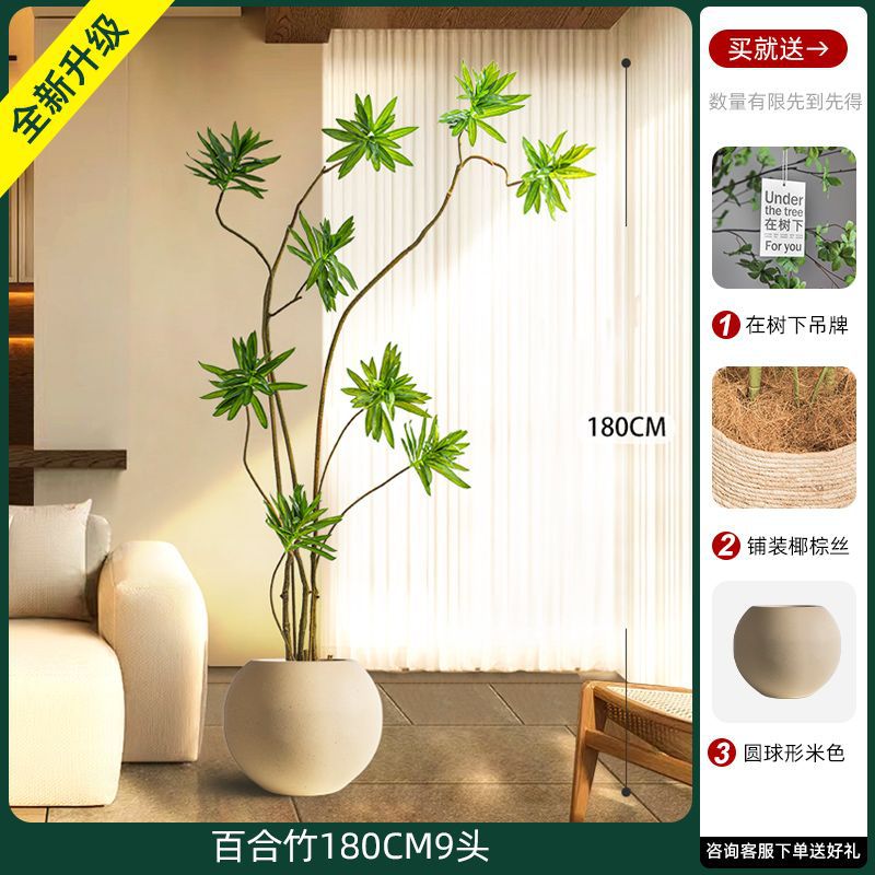 [W Ruyi Bamboo] Chậu đá đầu 180CM9