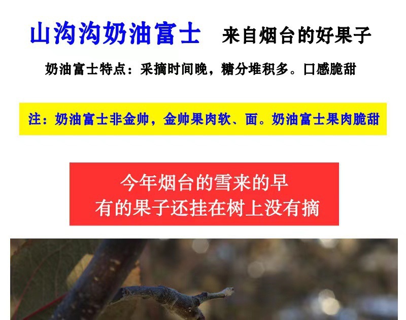 13ec77bb2d0778901409e01212b29b