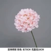 [New Product] Lucky Hydrangea Pink