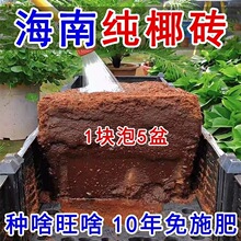 高泡发椰砖营养土养花压缩通用种花泥土盆栽种菜有机无菌脱盐绿萝