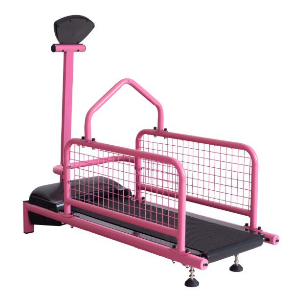 Stepper, equipment for training, pet, for running