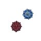 Double-layer Diamond-inlaid Flower-shaped Metal Button Sweater Coat Mink Leather Shoes Hat Hand-held Flower Decoration Hand-stitched Buckle DIY Accessories