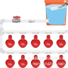 定制自动悬挂水杯系统后院鸡饮水器成套管道家禽用饮水器