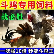 【秒变战斗鸡】斗鸡用品斗鸡料斗鸡饲料斗鸡丸越南鬼子斗鸡打料