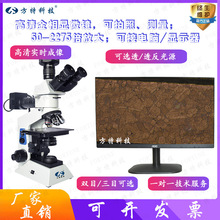 �pĿ���I�����@΢�R��W50-2275�� ��Ŀ�����՜y���߱�����@΢�R