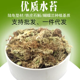 栽培基质;猫砂;造景/装饰