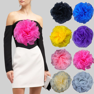 �Y�������ػ��߼����Ū����F���W�������brooch�ٴ������Q��